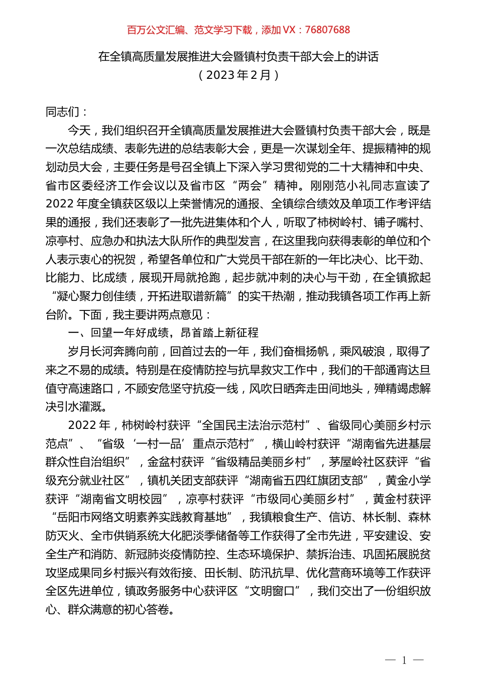 在全镇高质量发展推进大会暨镇村负责干部大会上的讲话.doc_第1页