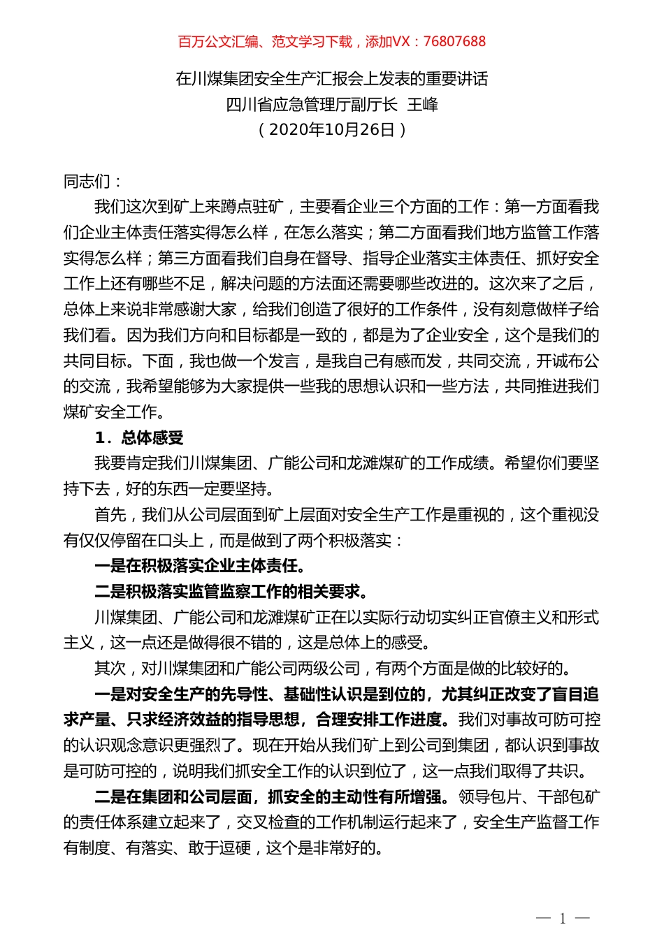 四川省应急管理厅副厅长王峰：在川煤集团安全生产汇报会上发表的重要讲话.doc_第1页