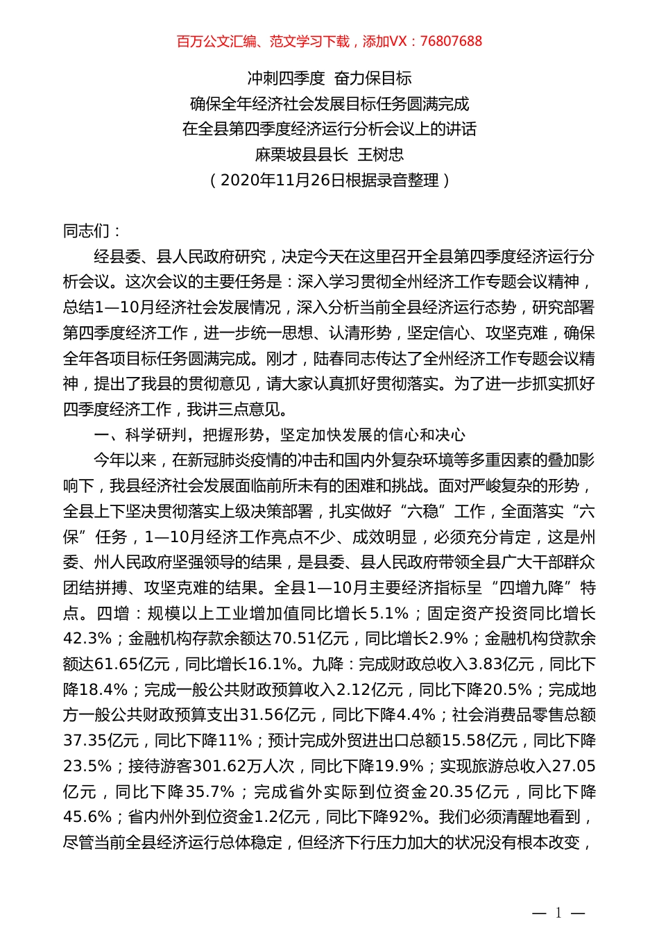 麻栗坡县县长王树忠：在全县第四季度经济运行分析会议上的讲话.doc_第1页