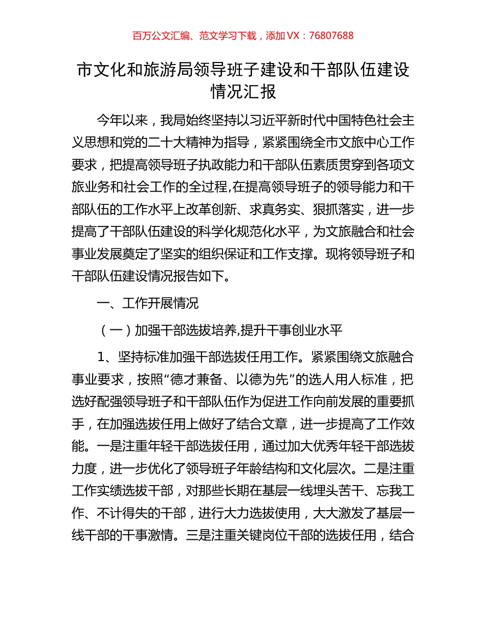 市文化和旅游局领导班子建设和干部队伍建设情况汇报.docx_第1页