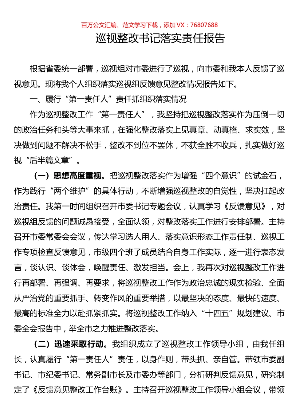 巡视整改书记落实责任报告.docx_第1页