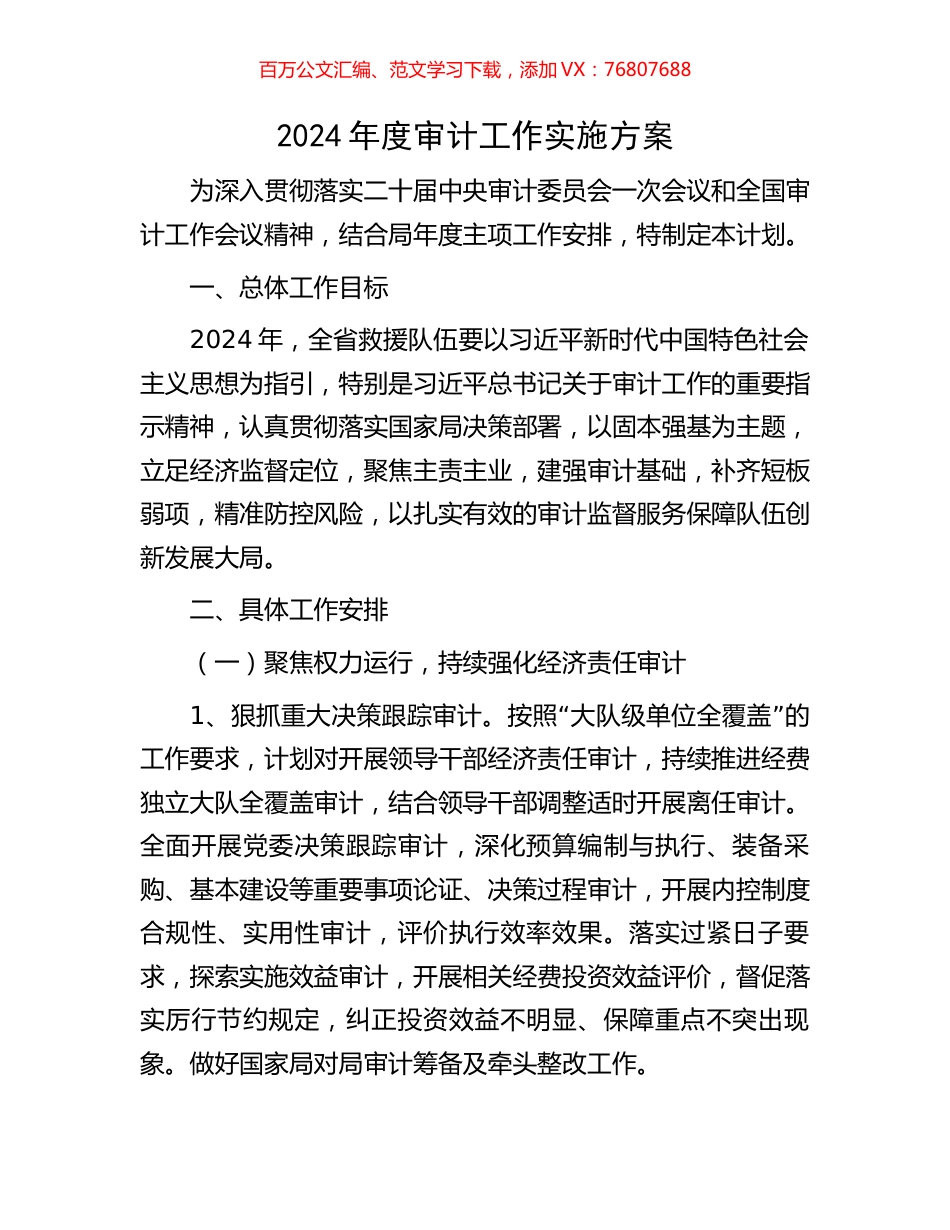 2024年度审计工作实施方案.docx_第1页
