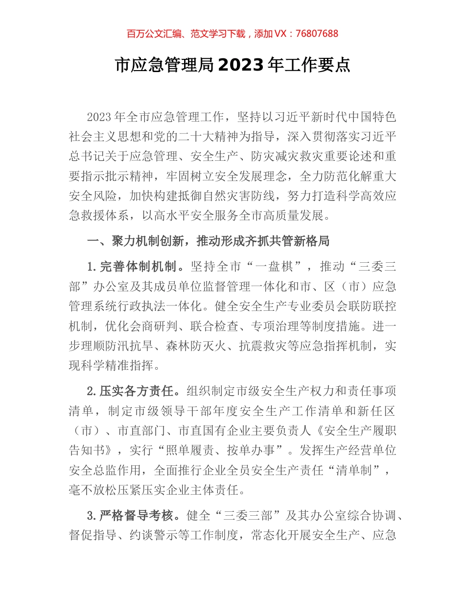 市应急管理局2023年工作要点.docx_第1页