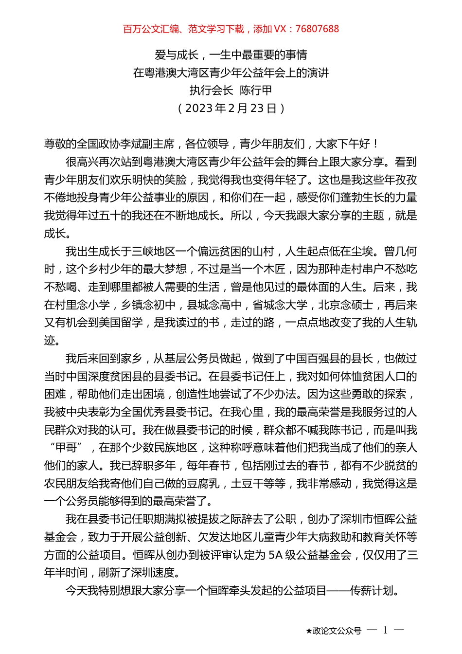 执行会长陈行甲：在粤港澳大湾区青少年公益年会上的演讲.doc_第1页