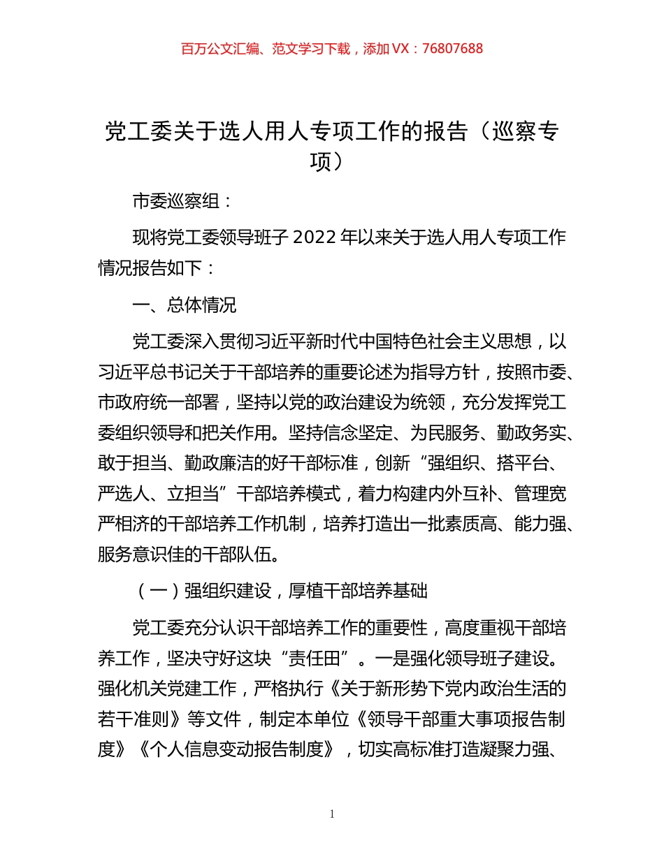 -党工委关于选人用人专项工作的报告（巡察专项）.docx_第1页