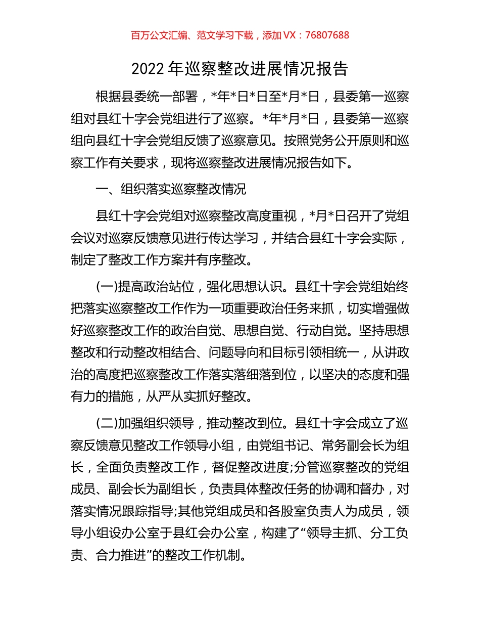 2022年巡察整改进展情况报告.docx_第1页