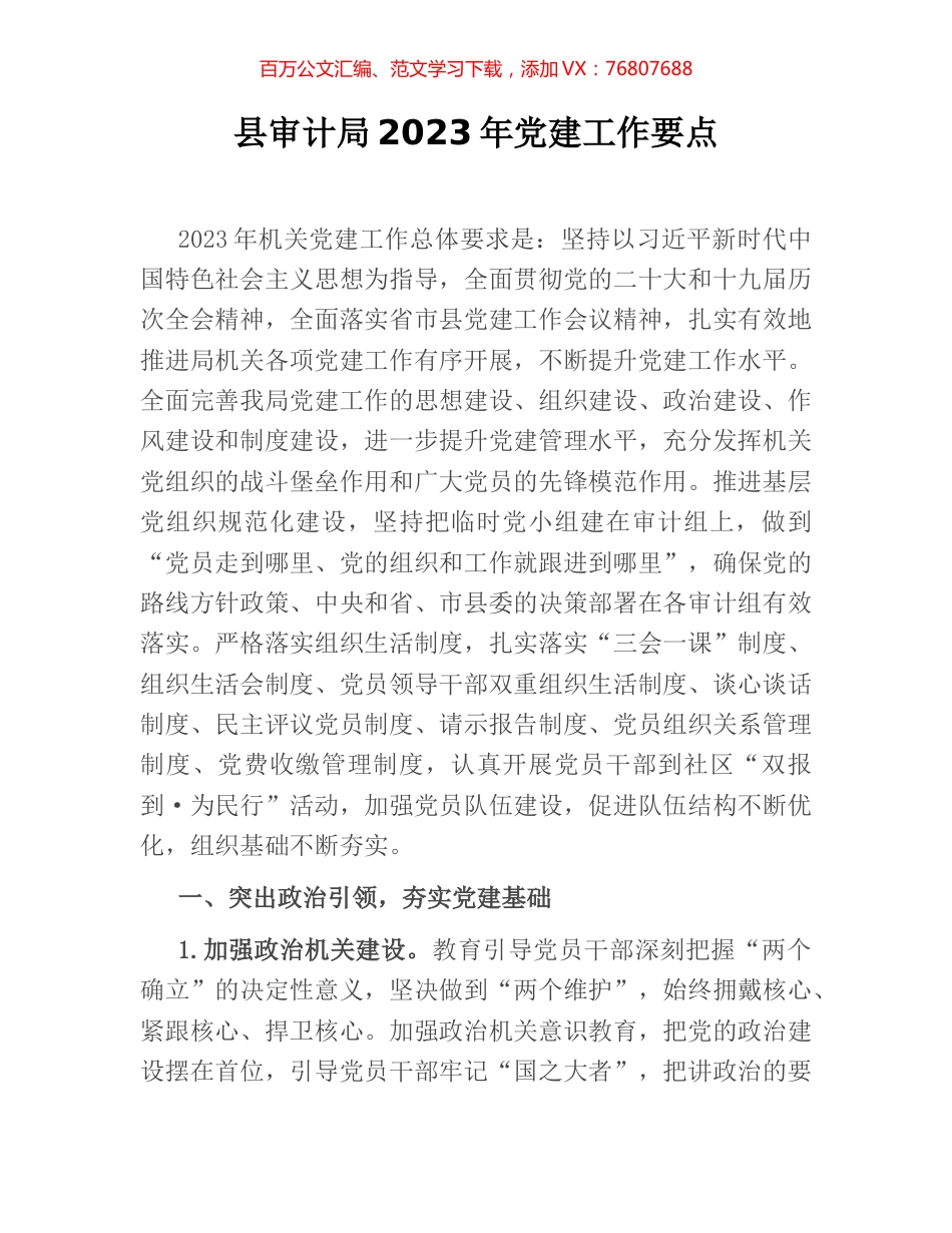 县审计局2023年党建工作要点.docx_第1页