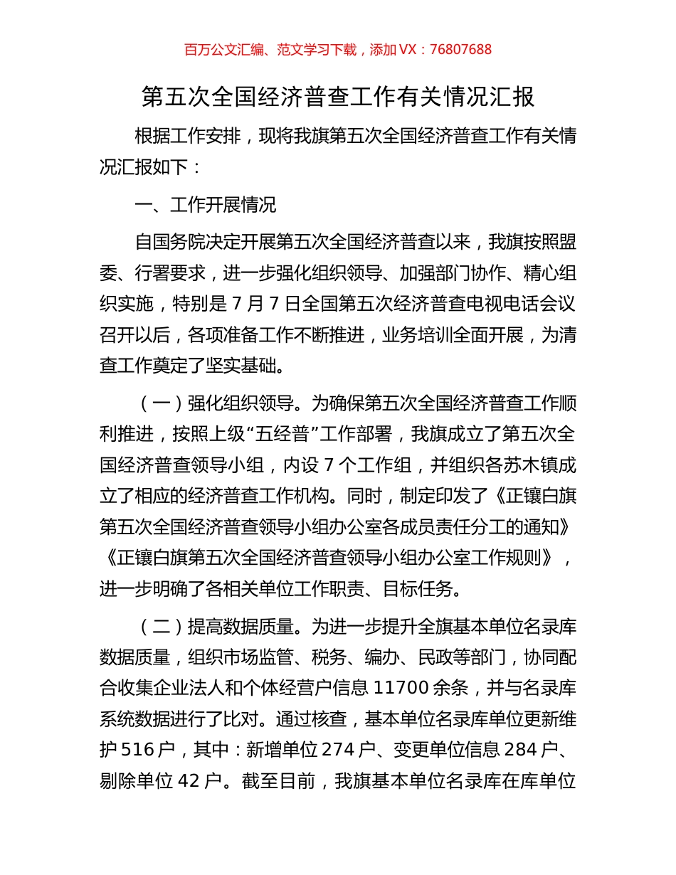 第五次全国经济普查工作有关情况汇报.docx_第1页