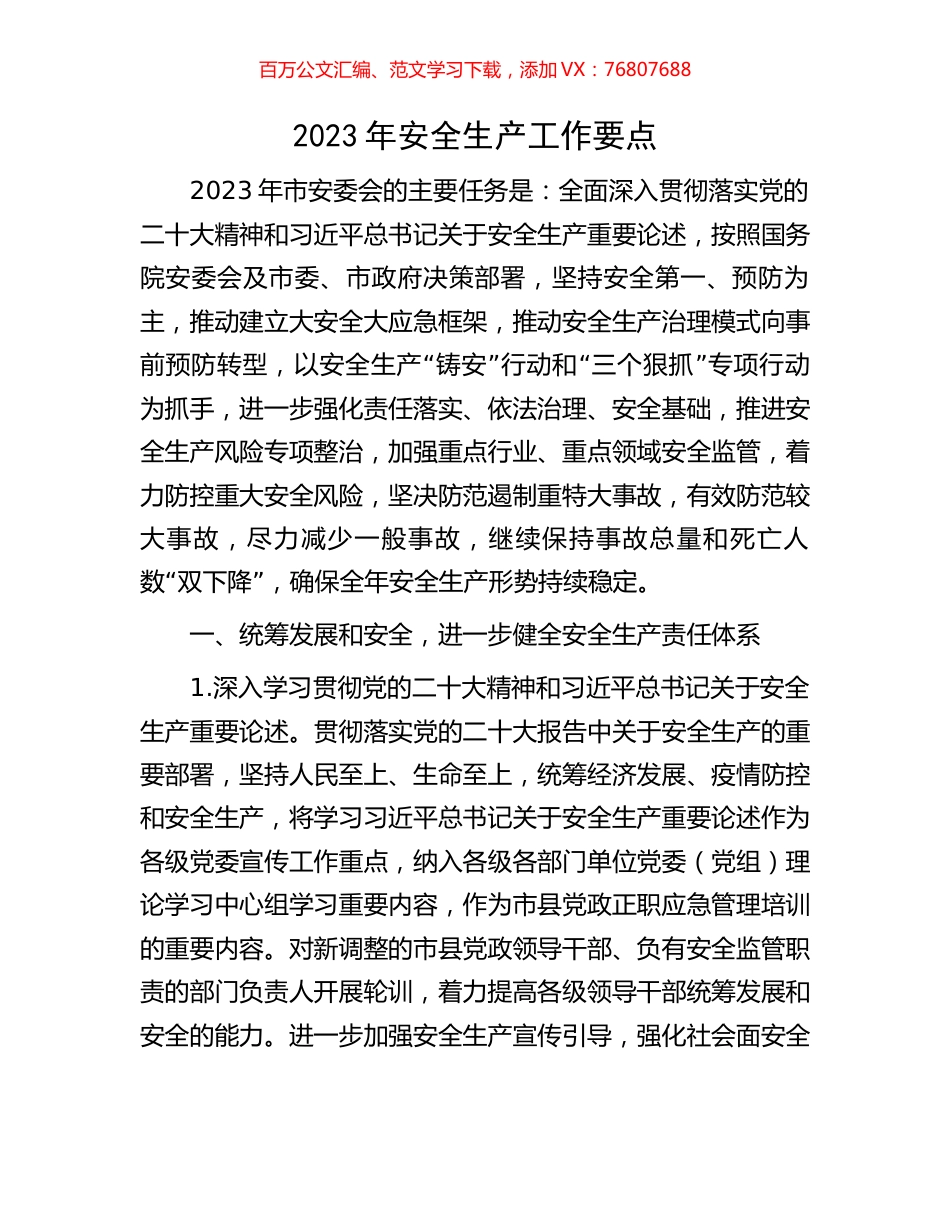 2023年安全生产工作要点.docx_第1页