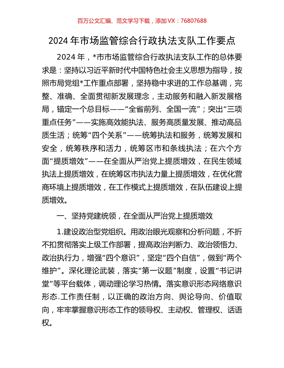 2024年市场监管综合行政执法支队工作要点.docx_第1页
