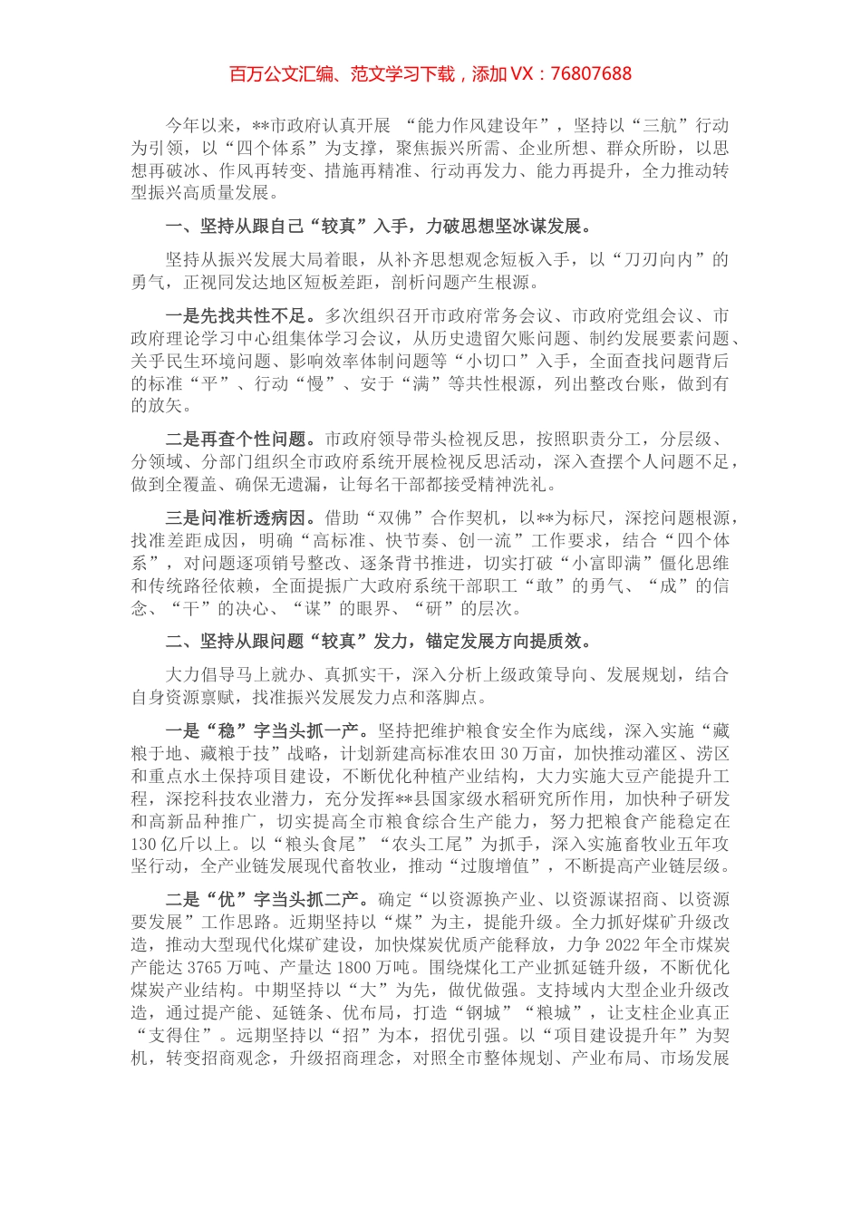 政府系统“能力作风建设年”工作汇报.docx_第1页