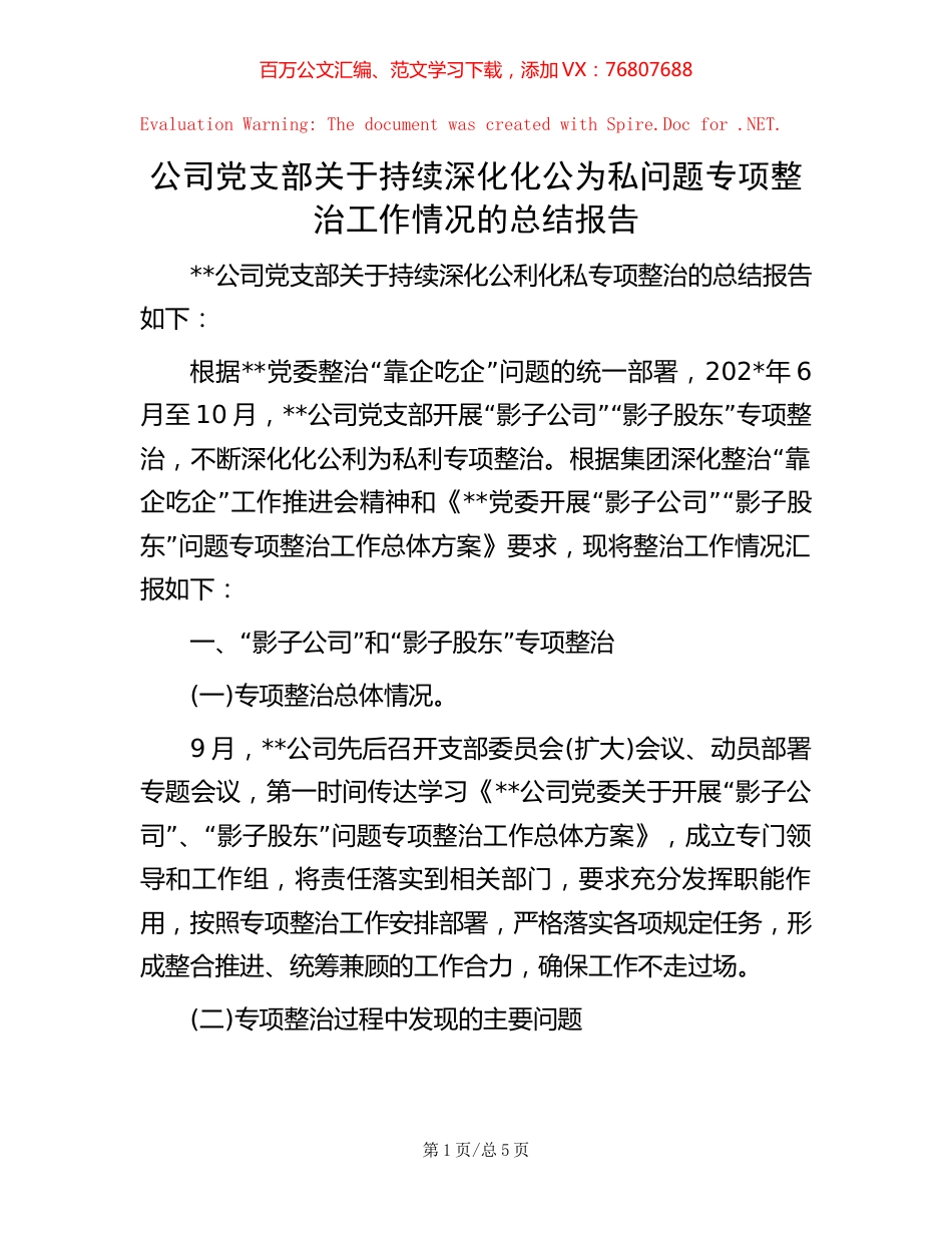 20221020公司党支部关于持续深化化公为私问题专项整治工作情况的总结报告.docx_第1页