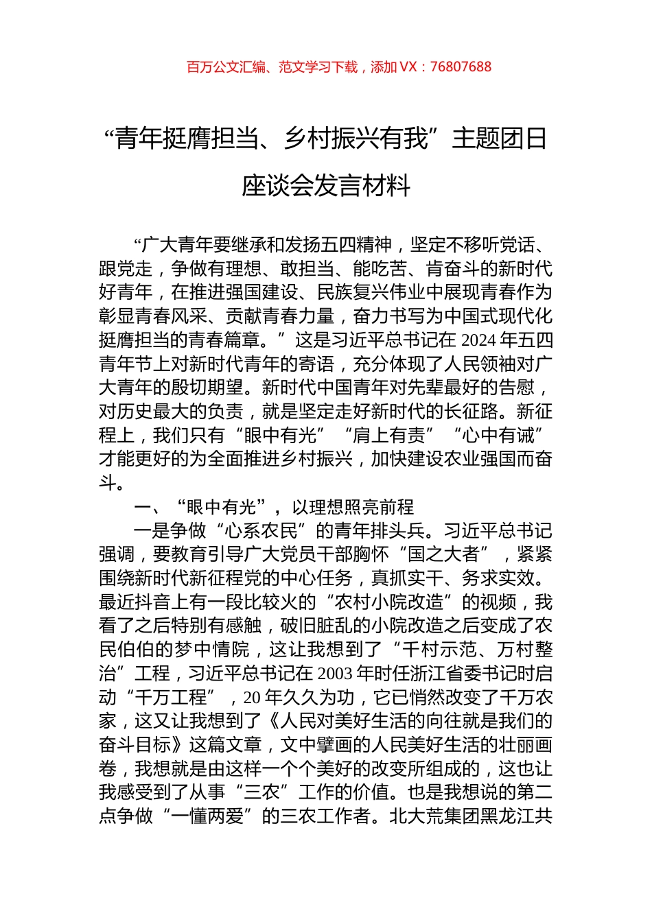 “青年挺膺担当、乡村振兴有我”主题团日座谈会发言材料.docx_第1页