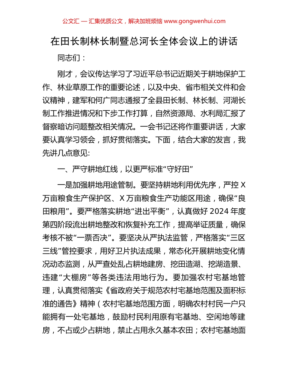 在田长制林长制暨总河长全体会议上的讲话_第1页