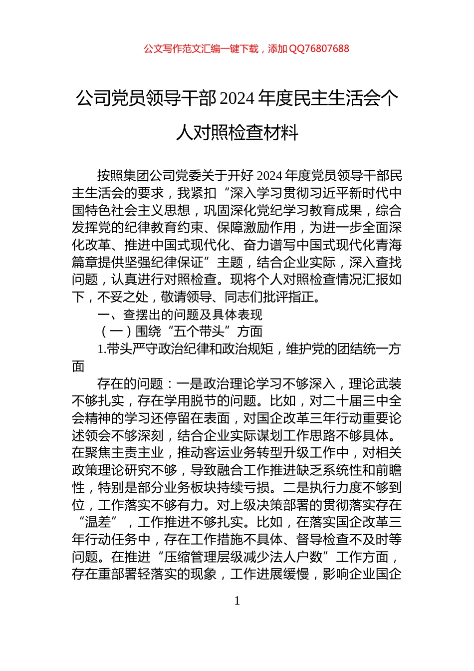 公司党员领导干部2024年度民主生活会个人对照检查材料_第1页