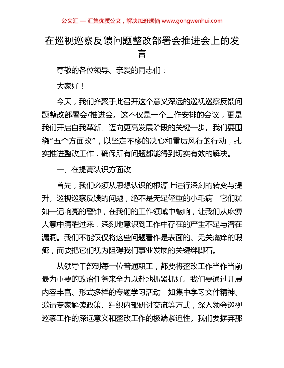 在巡视巡察反馈问题整改部署会推进会上的发言_第1页