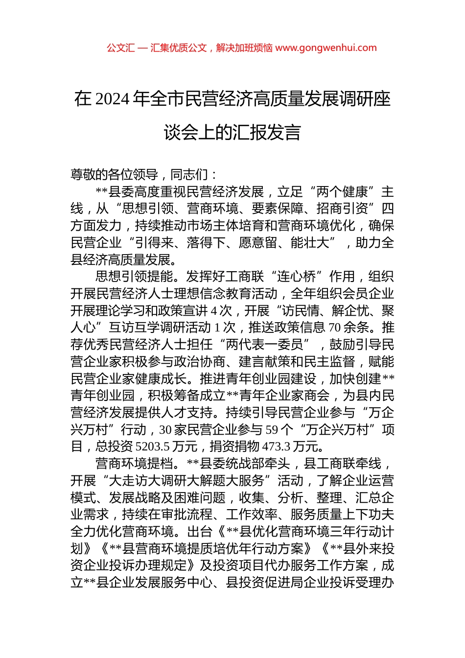 在2024年全市民营经济高质量发展调研座谈会上的汇报发言_第1页