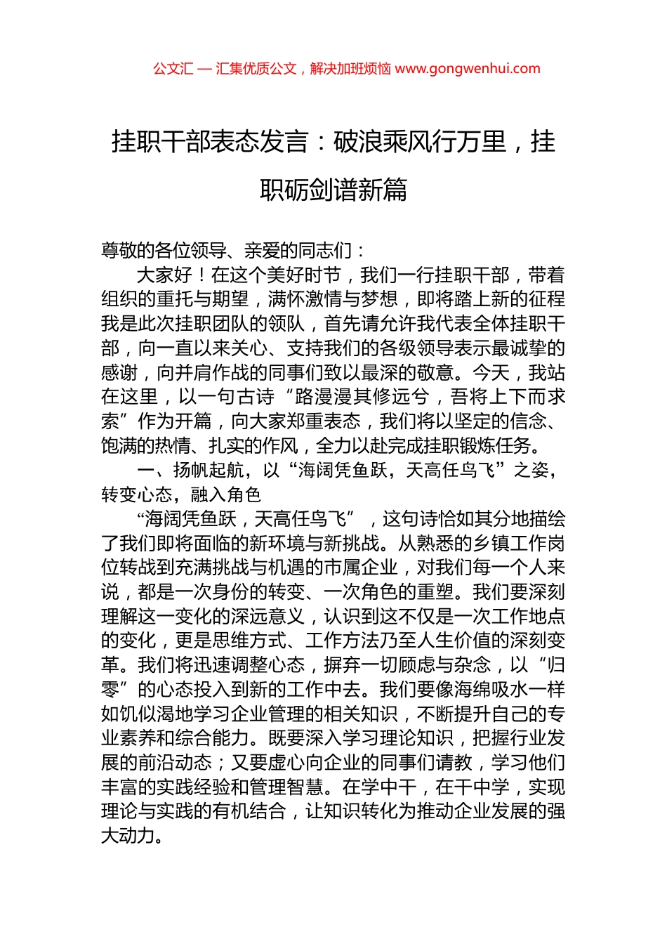 挂职干部表态发言：破浪乘风行万里，挂职砺剑谱新篇 (2)_第1页