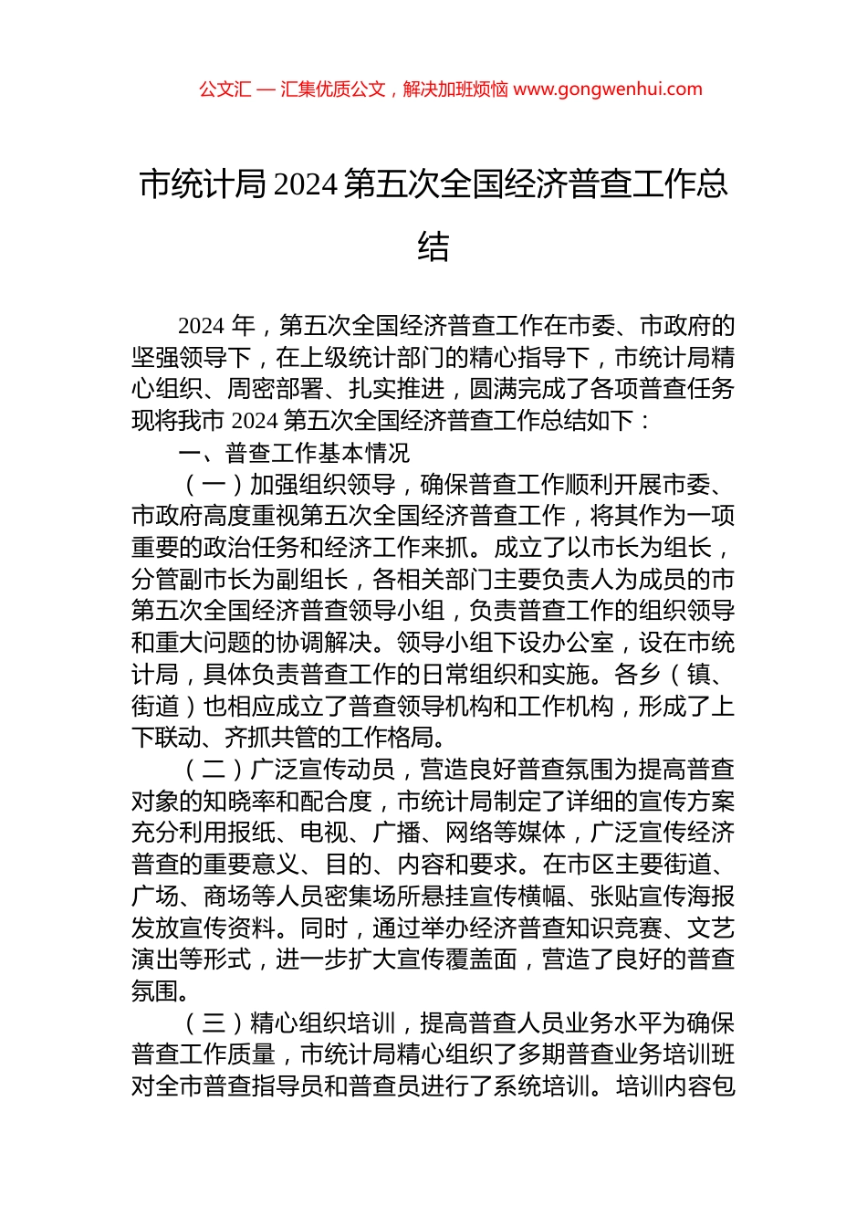 市统计局2024第五次全国经济普查工作总结_第1页