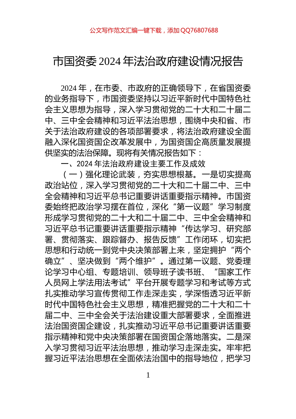 市国资委2024年法治政府建设情况报告_第1页