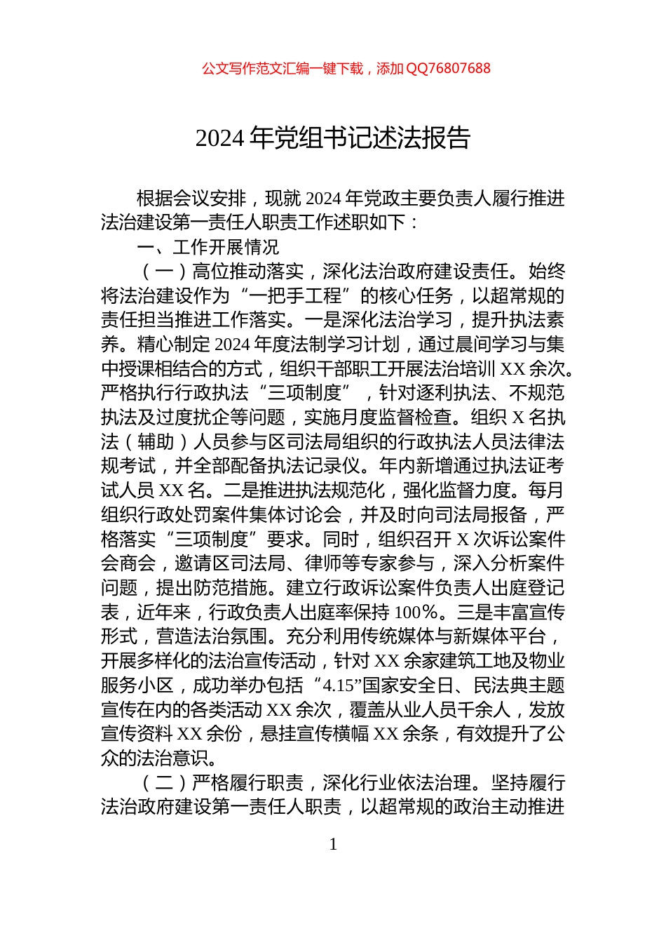 2024年党组书记述法报告_第1页