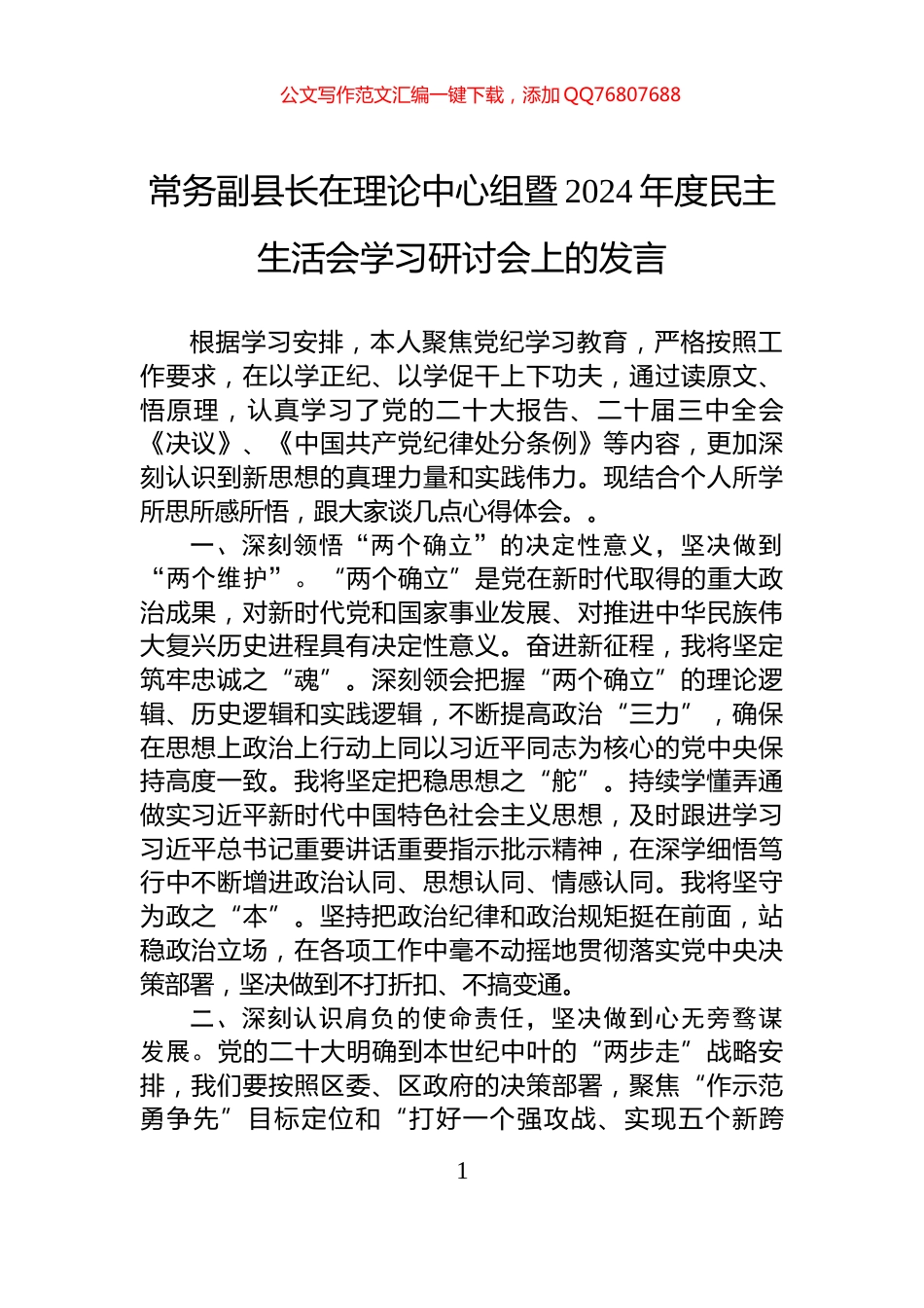 常务副县长在理论中心组暨2024年度民主生活会学习研讨会上的发言_第1页