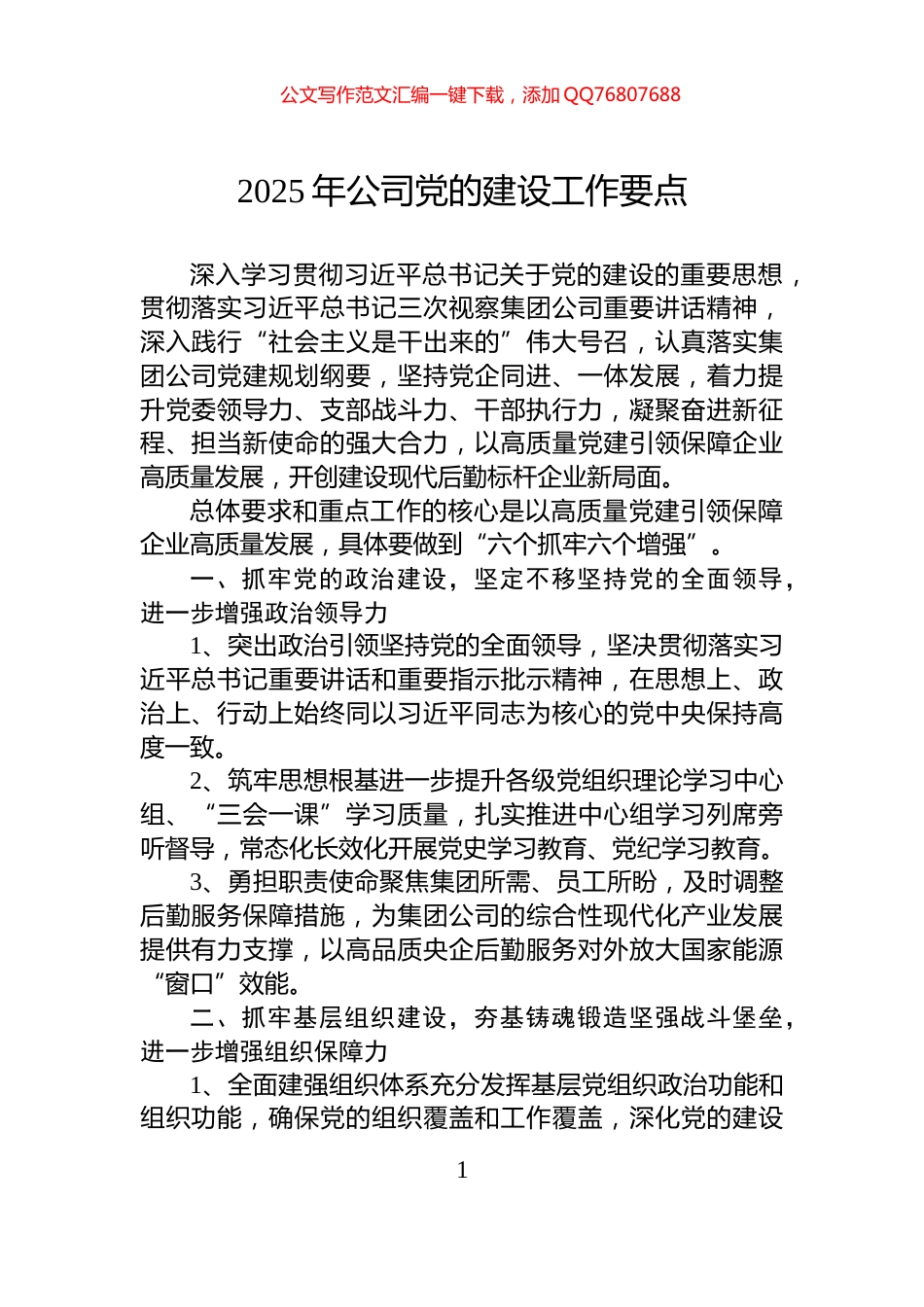 2025年公司党的建设工作要点_第1页