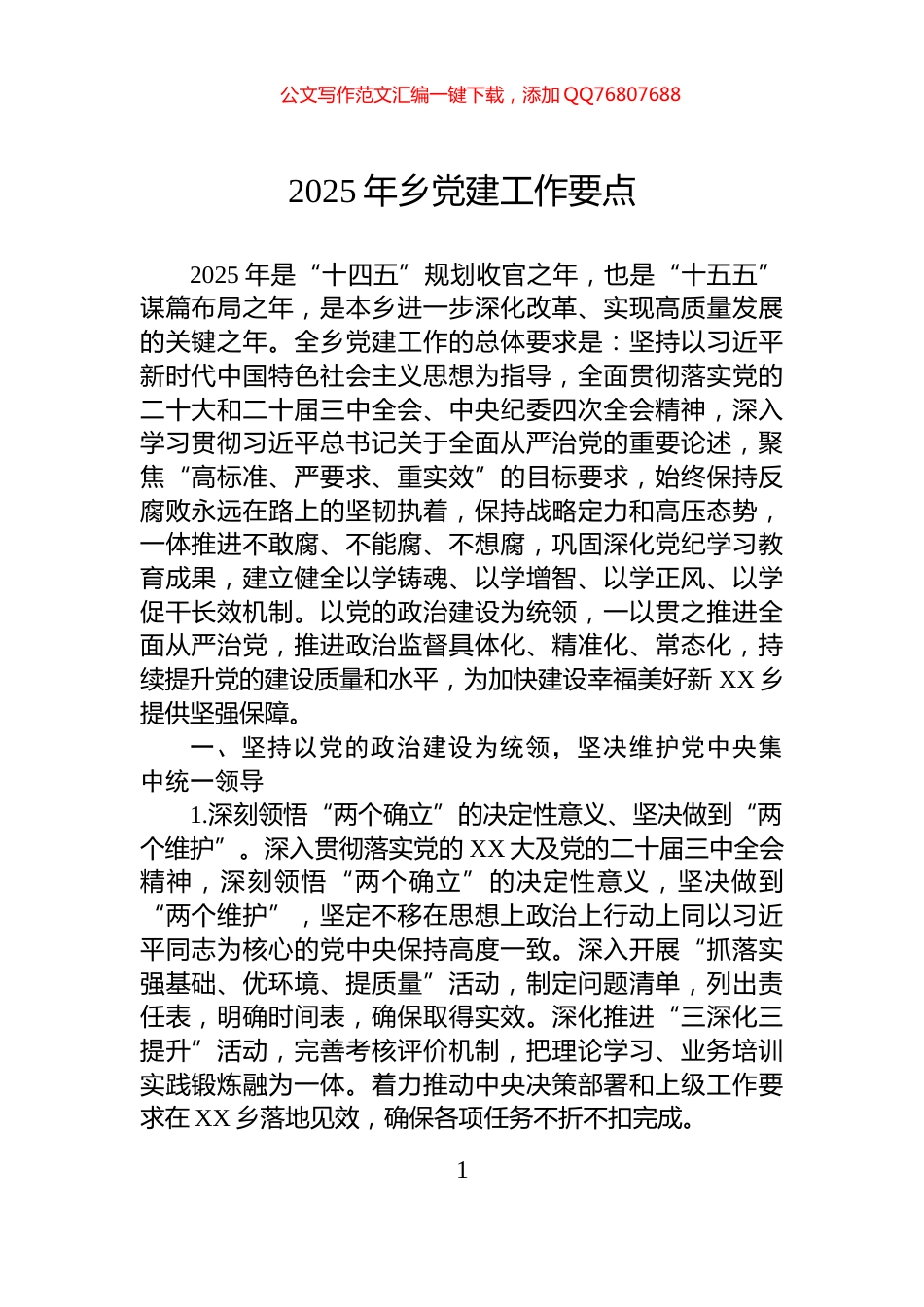 2025年乡党建工作要点_第1页