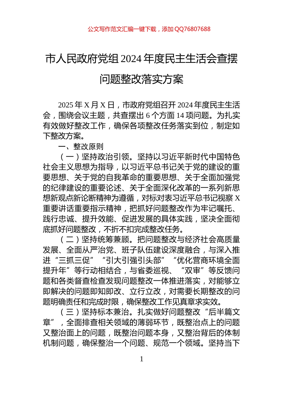 市人民政府党组2024年度民主生活会查摆问题整改落实方案_第1页