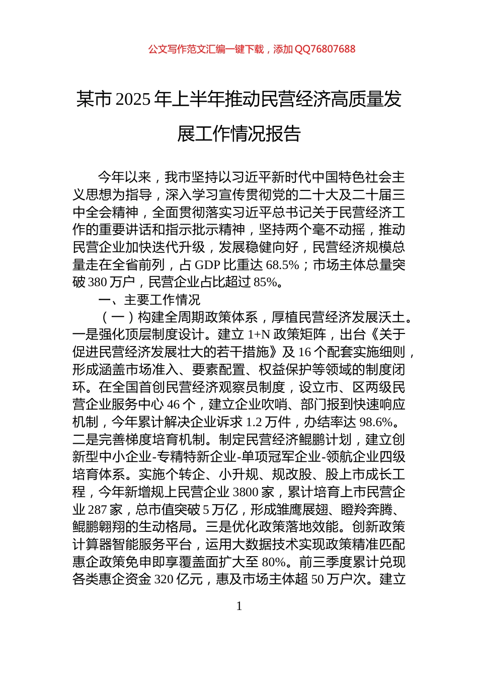 某市2025年上半年推动民营经济高质量发展工作情况报告_第1页