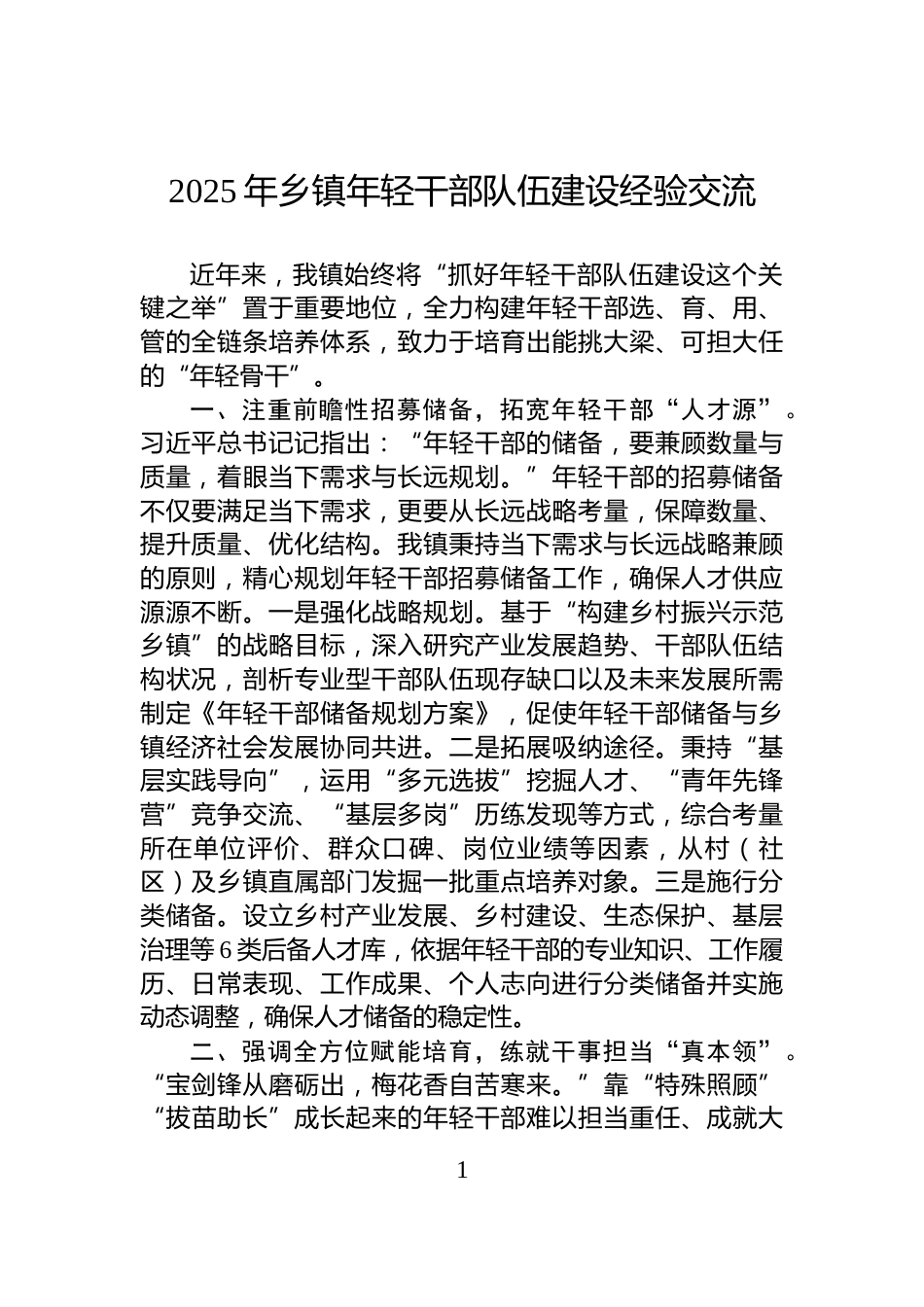2025年乡镇年轻干部队伍建设经验交流_第1页