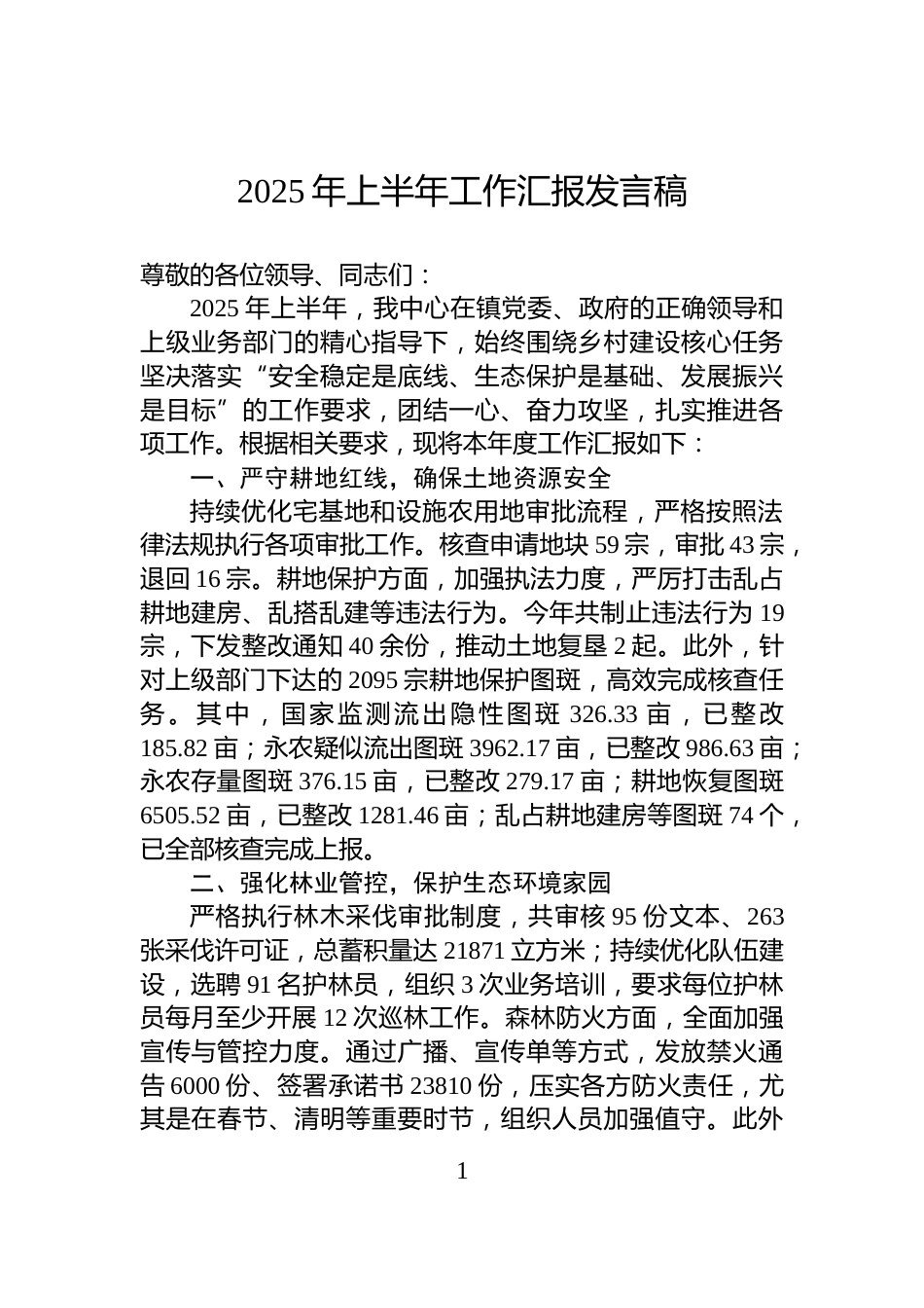 2025年上半年工作汇报发言稿_第1页