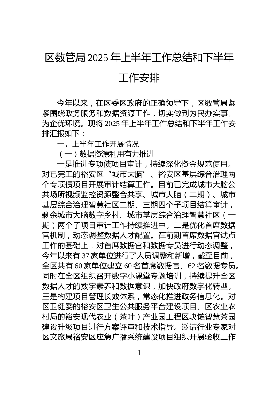 区数管局2025年上半年工作总结和下半年工作安排_第1页