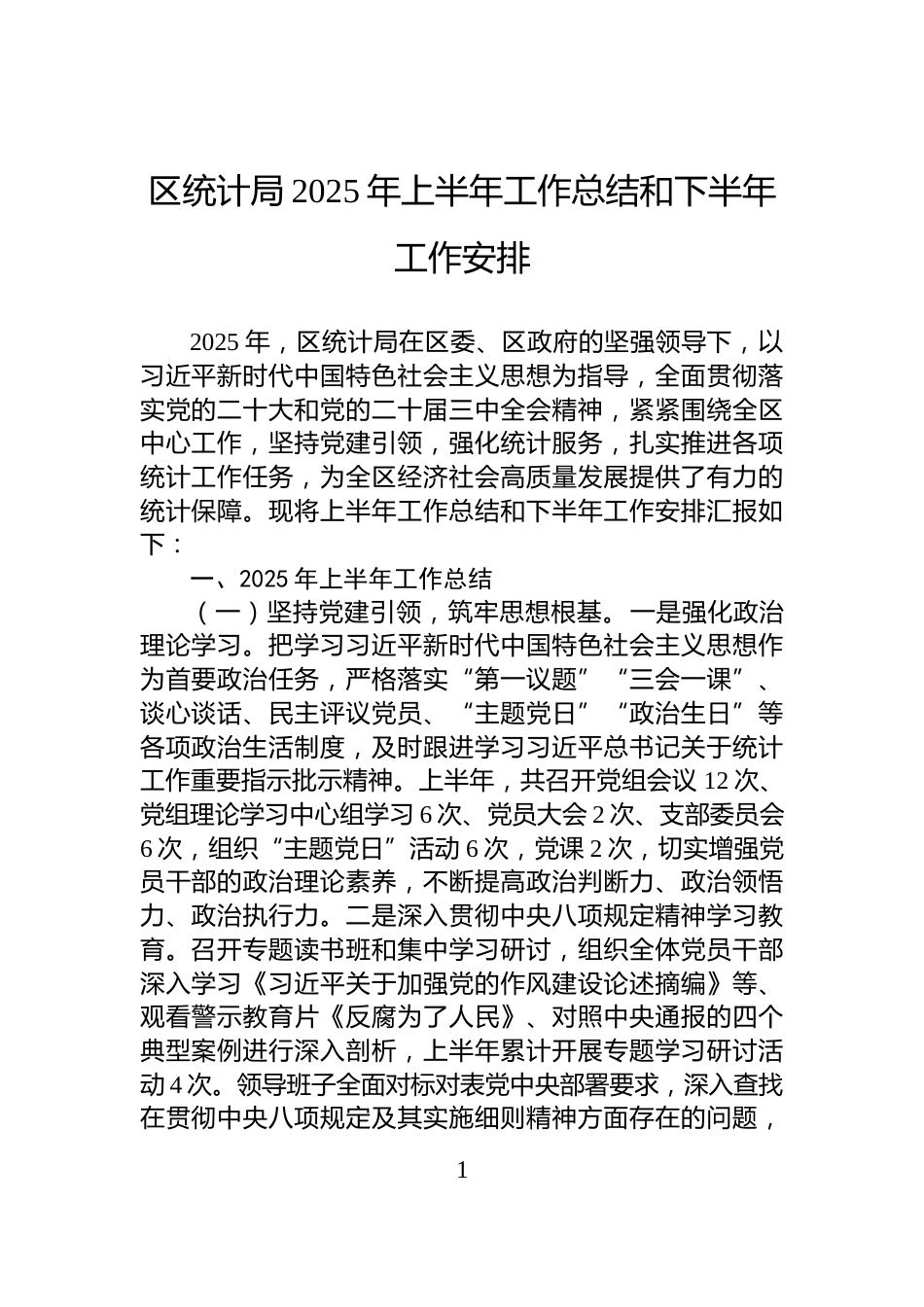 区统计局2025年上半年工作总结和下半年工作安排_第1页