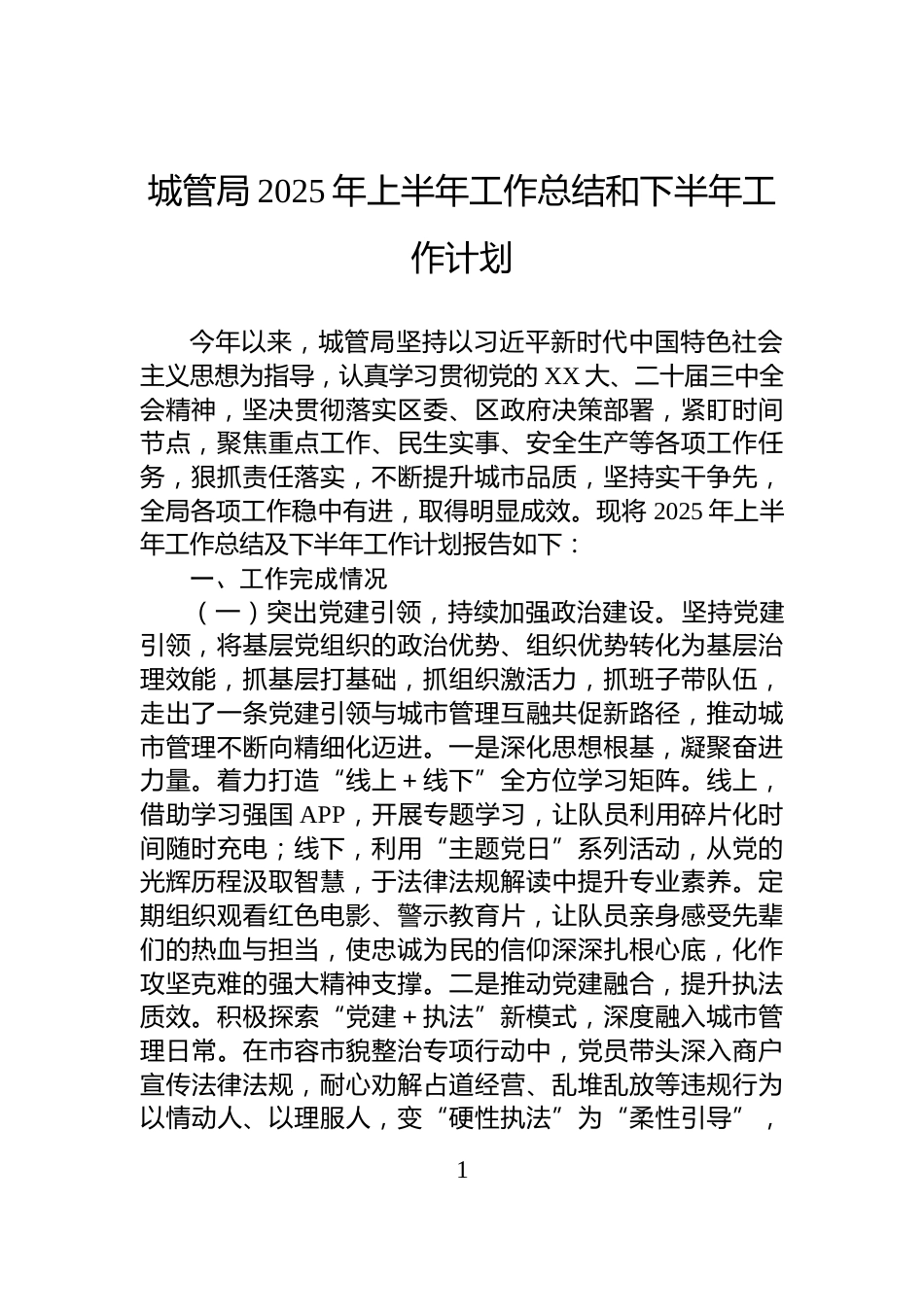 城管局2025年上半年工作总结和下半年工作计划_第1页