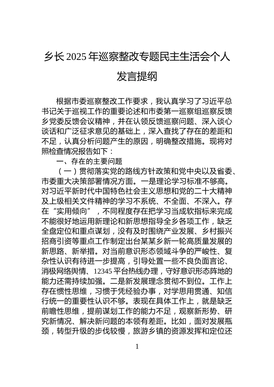 乡长2025年巡察整改专题民主生活会个人发言提纲_第1页