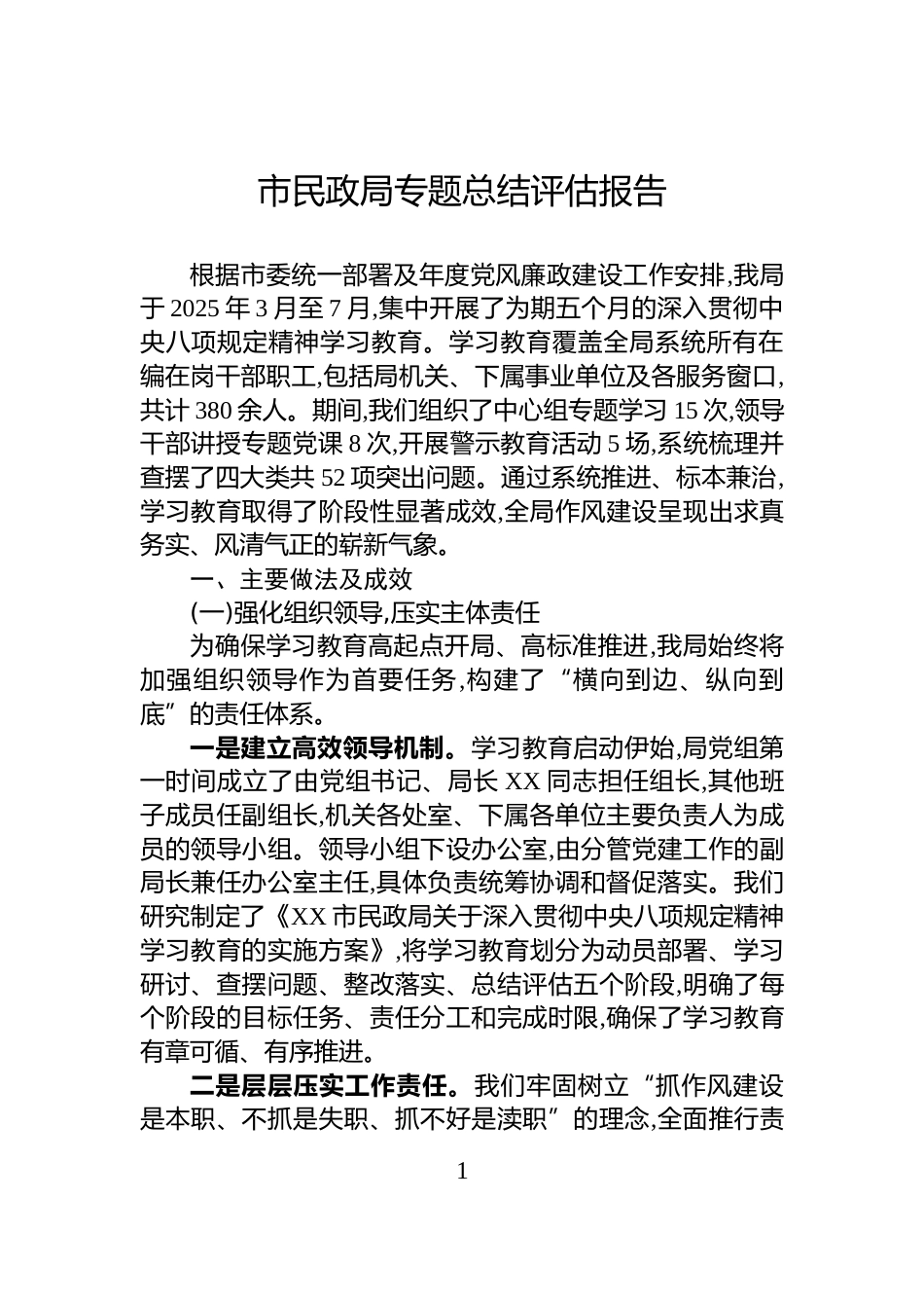 市民政局专题总结评估报告_第1页