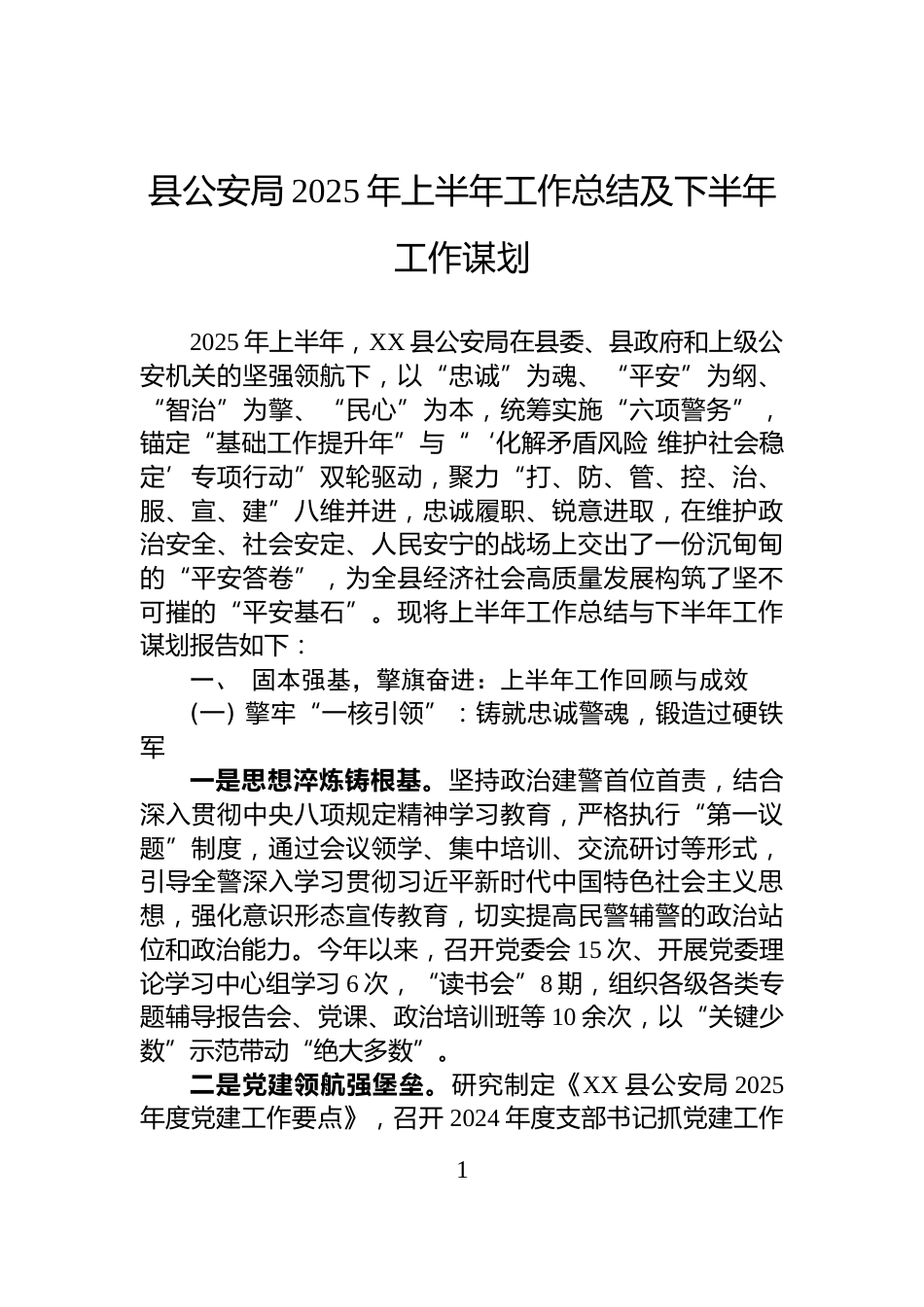 县公安局2025年上半年工作总结及下半年工作谋划_第1页